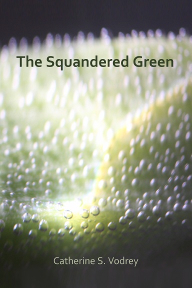 The Squandered Green