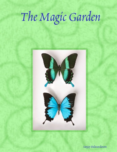 The Magic Garden