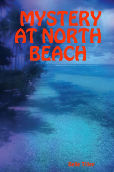 MYSTERY AT NORTH BEACH