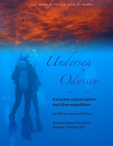 Undersea Odyssey