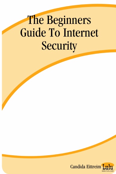 The Beginners Guide To Internet Security