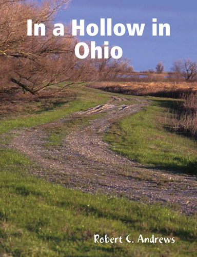 In a Hollow in Ohio