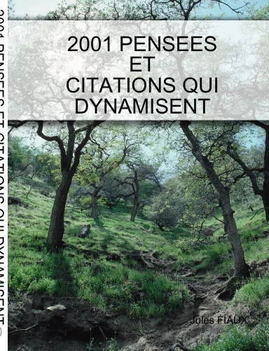 2001 PENSEES ET CITATIONS QUI DYNAMISENT