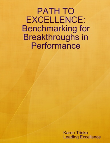 Path to Excellence: Benchmarking for Breakthroughs in Performance
