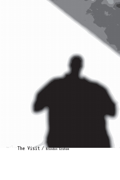 The Visit