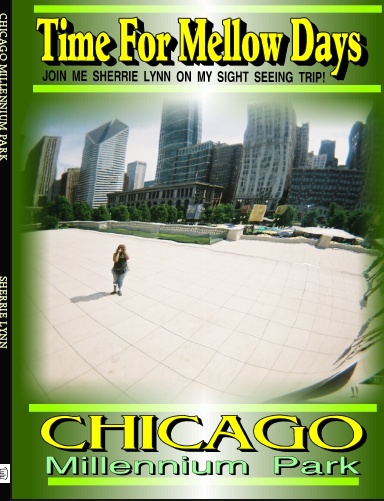 MILLENNIUM PARK JOURNAL