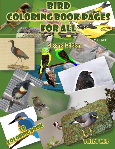 Bird Coloring Book Pages for all