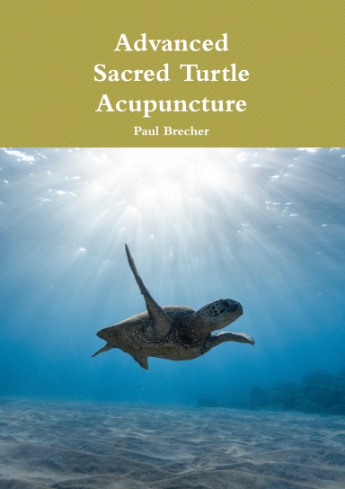 Advanced Sacred Turtle Abdominal Acupuncture