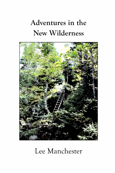 Adventures in the New Wilderness (paperback)