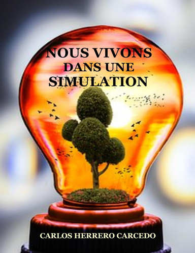 Nous vivons dans une simulation
