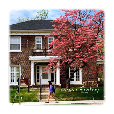 Campus Fantasy