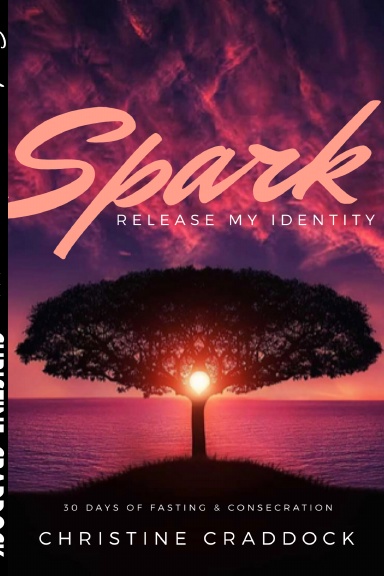 Spark - Release My Identity