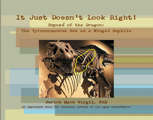 It Just Doesn't Look Right!!!: Ebook Edition