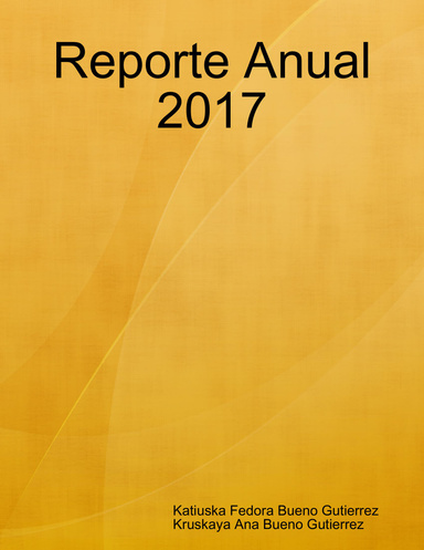 Reporte Anual 2017