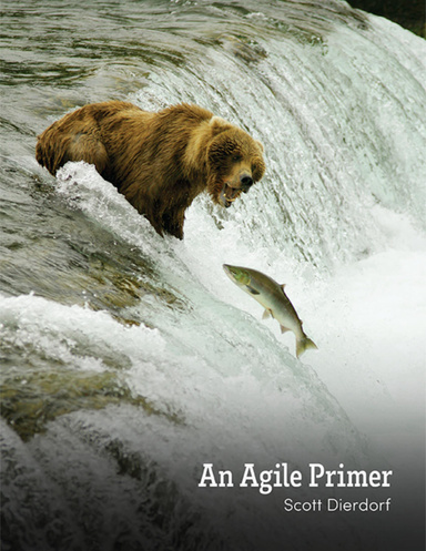 An Agile Primer