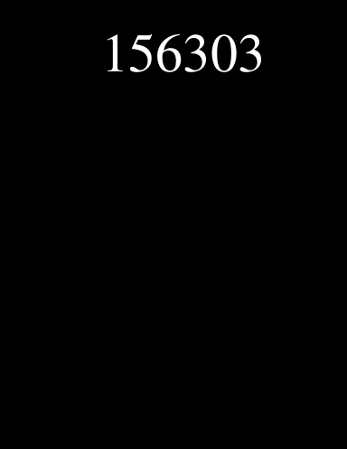 156303