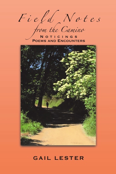Field Notes from the Camino, Noticings, Poems and Encounters