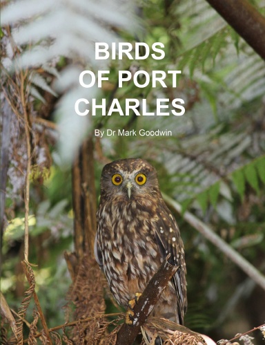Birds of Port Charles