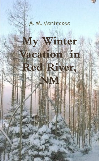 My Winter Vacation  in Red River, NM