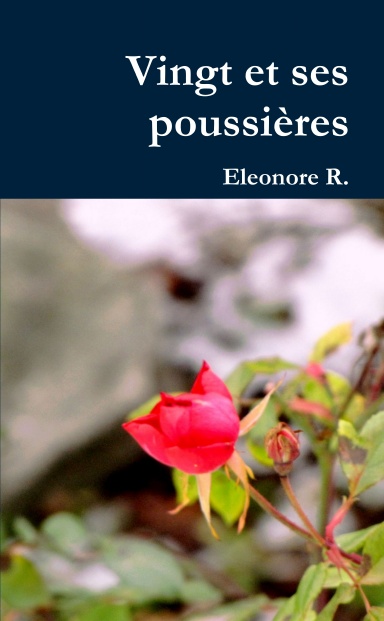 Vingt et ses poussières