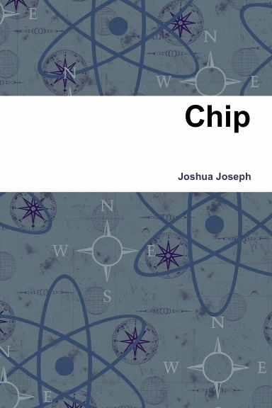 Chip