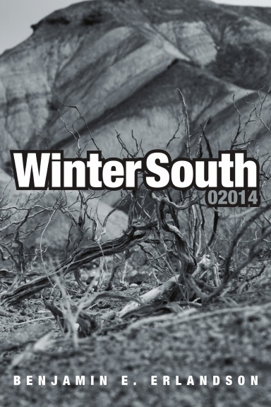 Winter South 02014