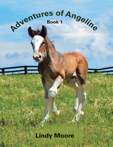 Adventures of Angeline: Book 1