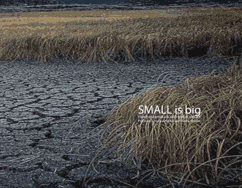 SMALL is big