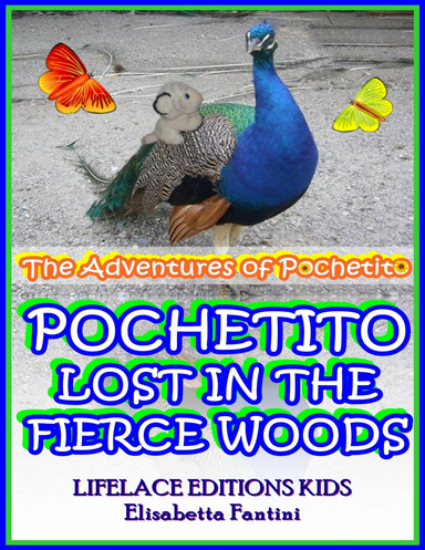 Pochetito Lost in the Fierce Woods