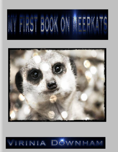 My First Book on Meerkats