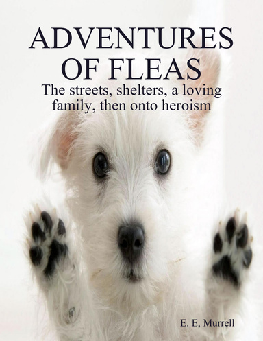 Adventures Of Fleas