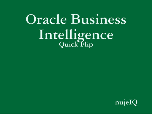 Oracle Business Intelligence - Quick Flip