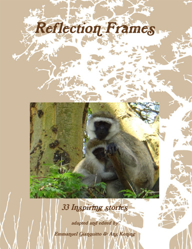 Reflection Frames