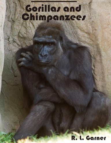Gorillas and Chimpanzees (Illustrated)