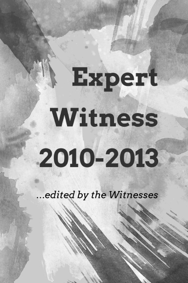 Expert Witness: 2010-2013