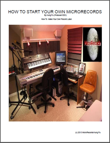How To Make Your Own MicroRecords Record Label