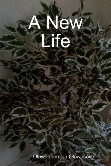 A New Life