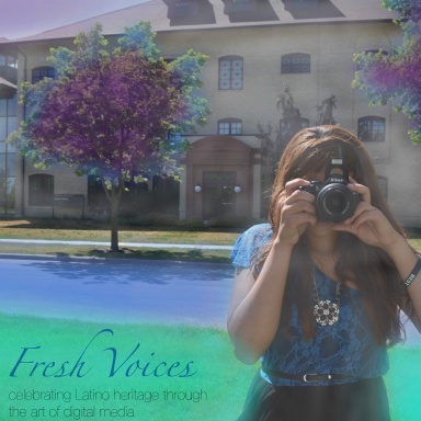 Fresh Voices Exhibit Catalog