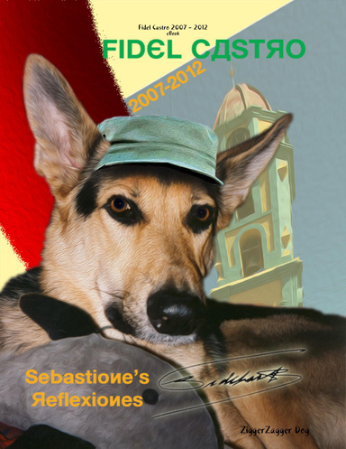 Fidel Castro 2007 - 2012 eBook