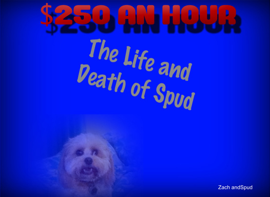 $250 an Hour : The Life and Death of Spud