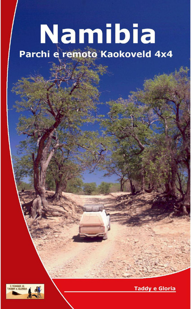 Namibia - Parchi e remoto Kaokoveld 4x4