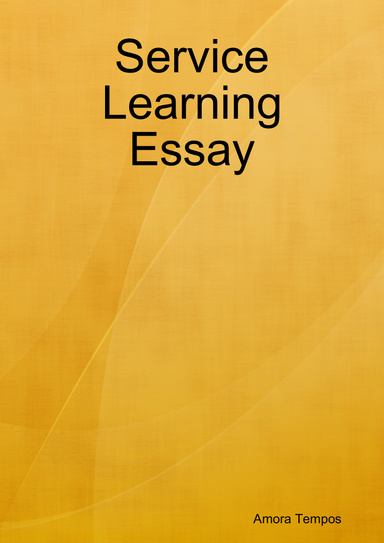 Service Learning Essay