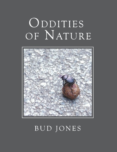 Oddities of Nature