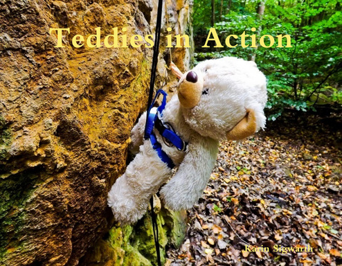 Teddybears in Action