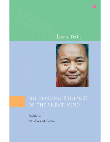 The Peaceful Stillness of the Silent Mind: Buddhism, Mind and Meditation