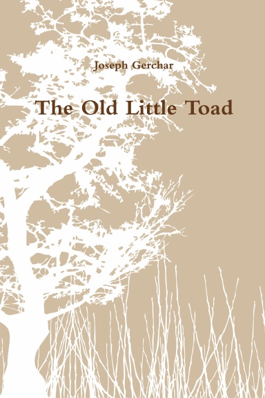 The Old Little Toad