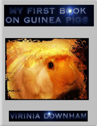 My First Book On Guinea Pigs