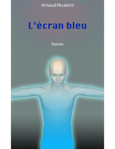L'écran bleu - Roman