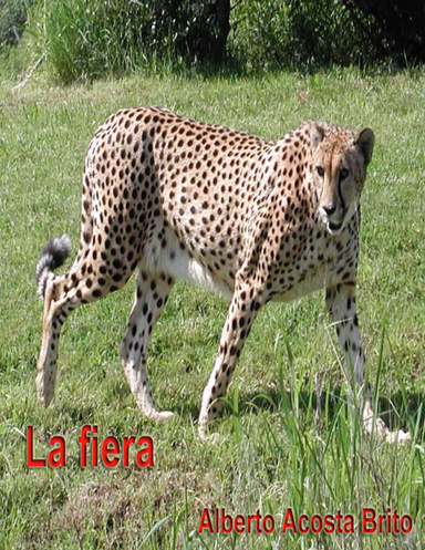 La fiera