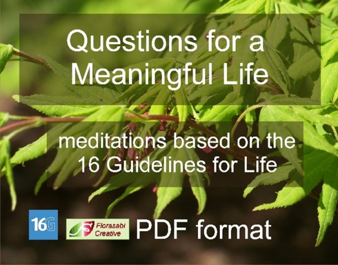 Questions for a Meaningful Life pdf